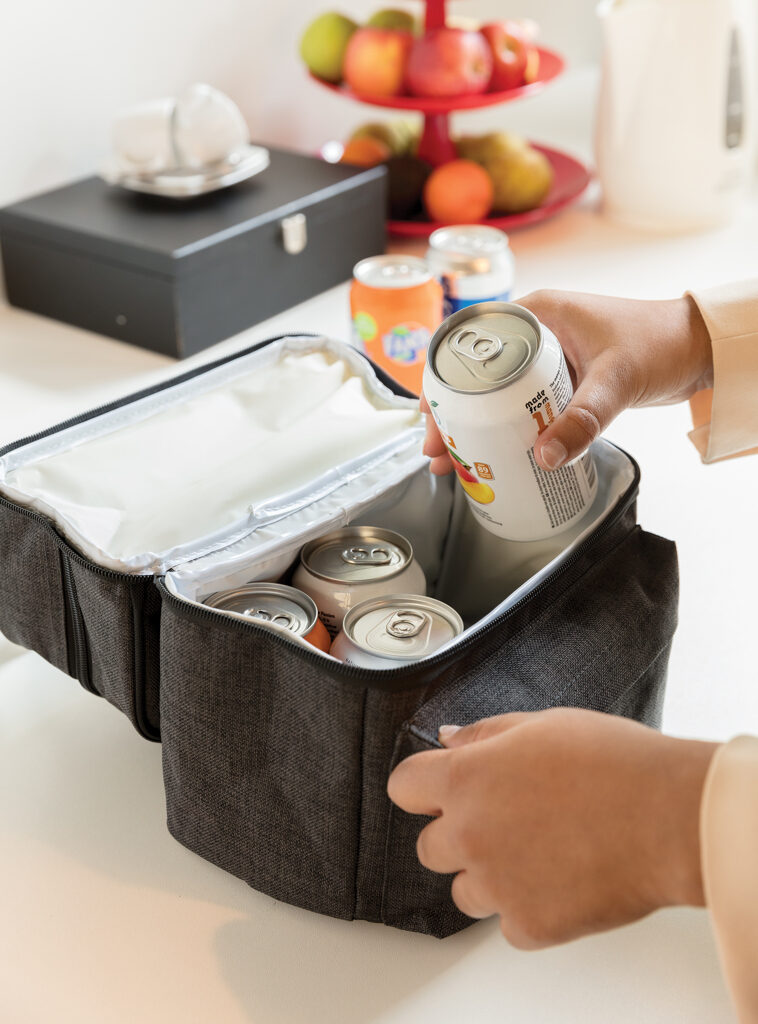 Cooler bag with 2 insulated compartments
